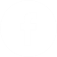 facebook_2